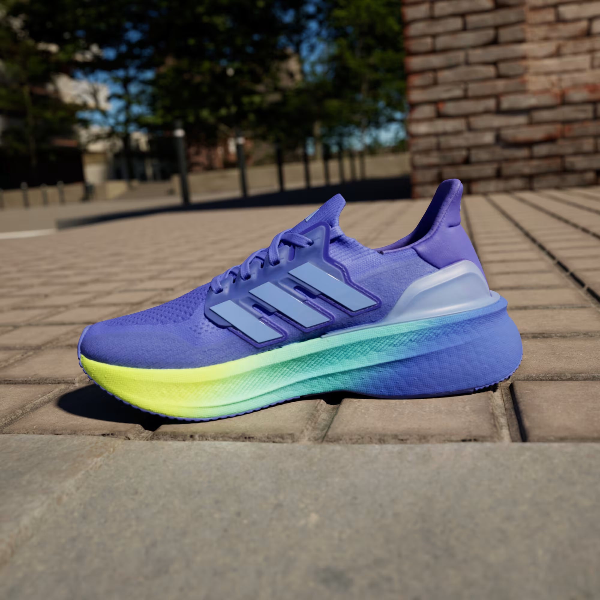 Adidas Ultraboost 5 'Azul'