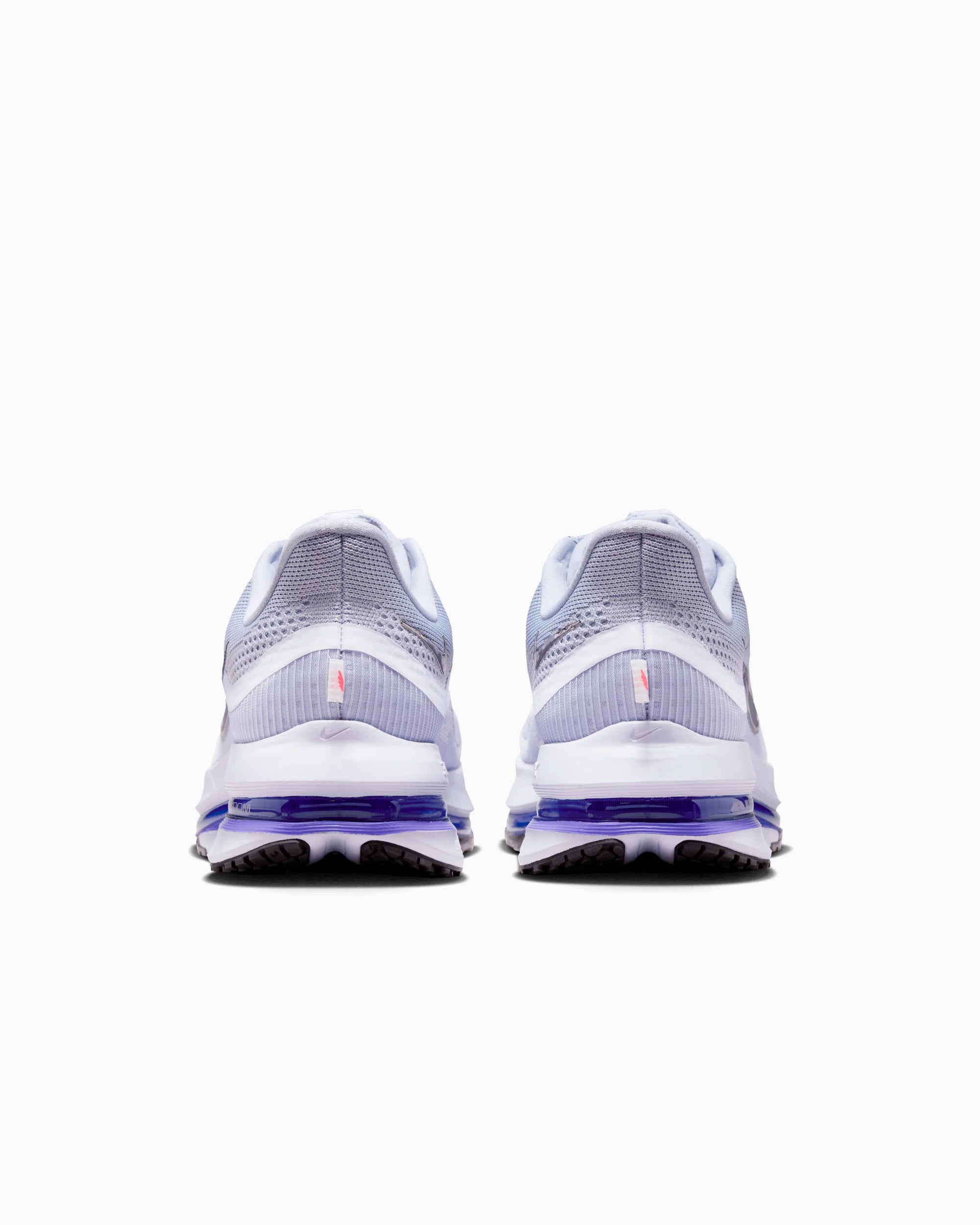 Pegasus Premium 'Persian Violet'