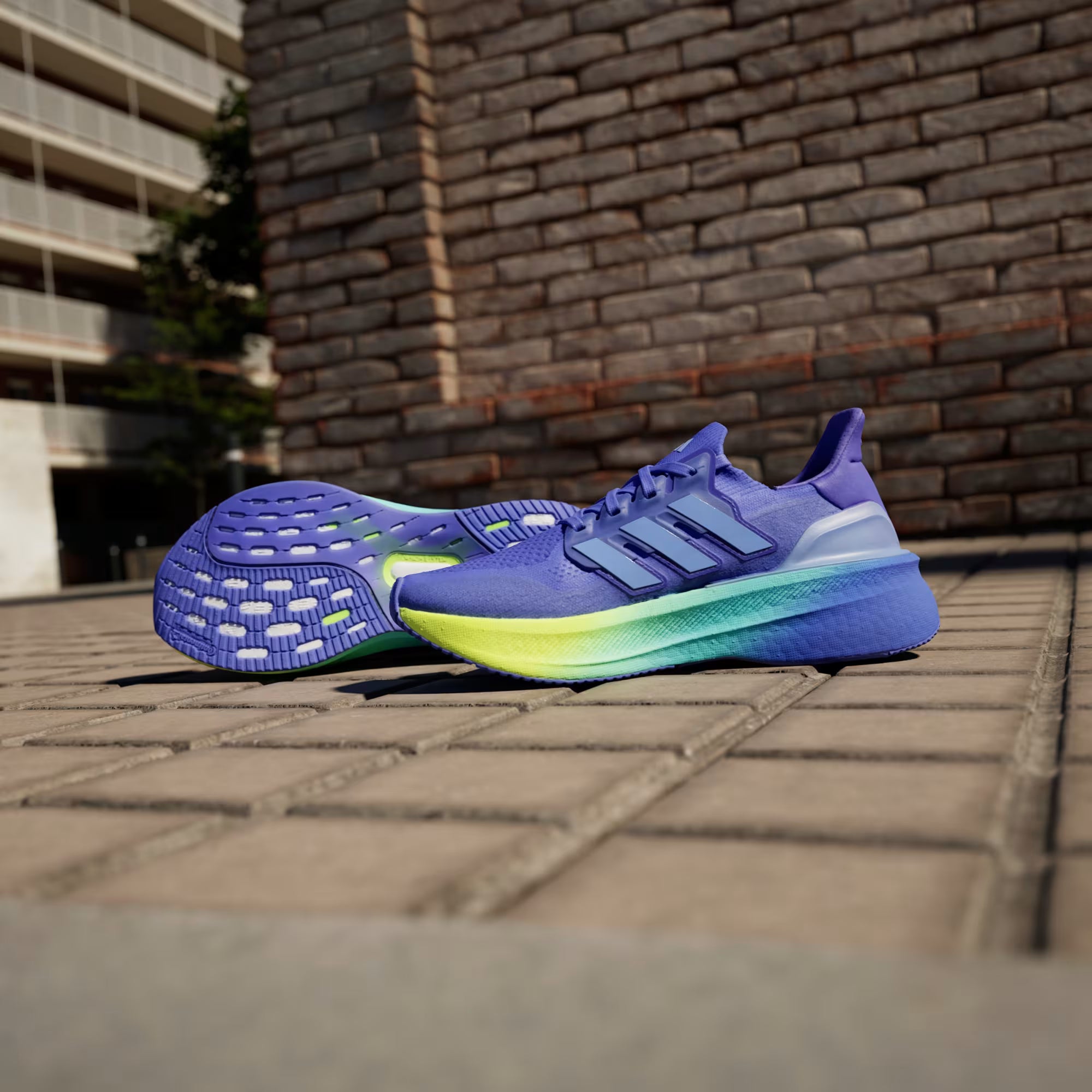 Adidas Ultraboost 5 'Azul'