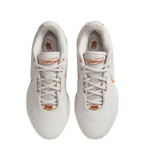 Nike LeBron 21 'Akoya'