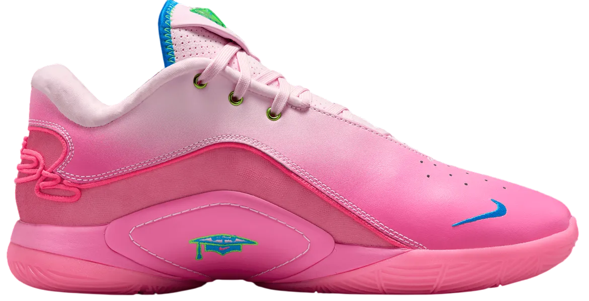 Nike LeBron 22 'I Promise'