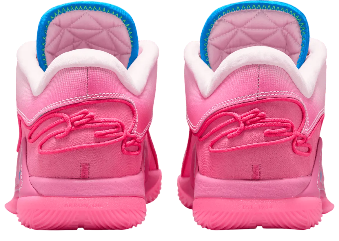 Nike LeBron 22 'I Promise'